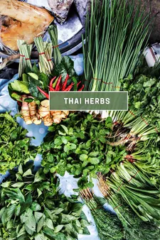 The Health Benefits of Thai Herbs and Spices: A Culinary Guide to Wellness